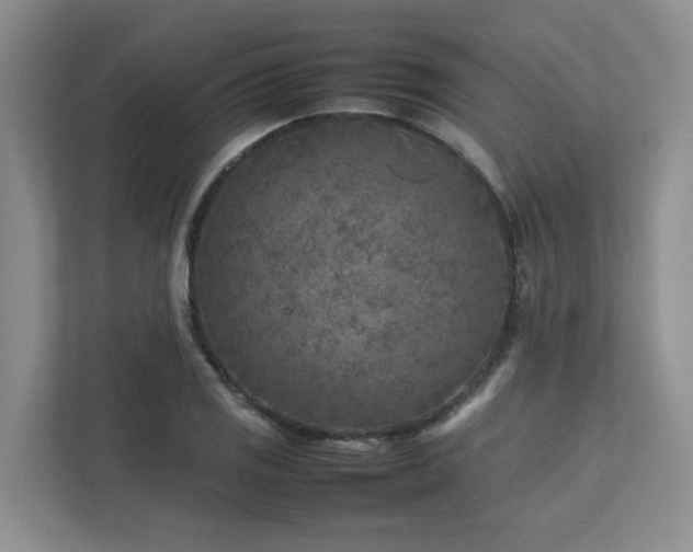 X0000112731125200908201320