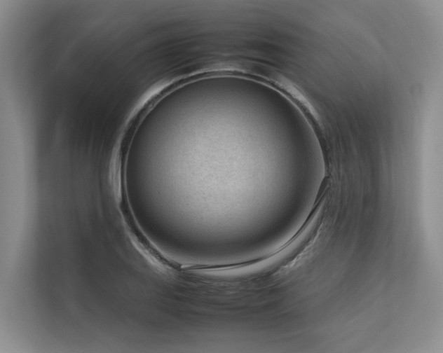 X0000112731127200908201320