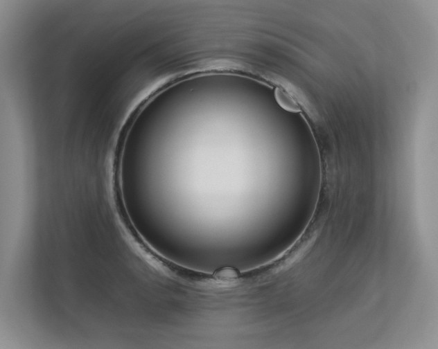 X0000112731134200908201320