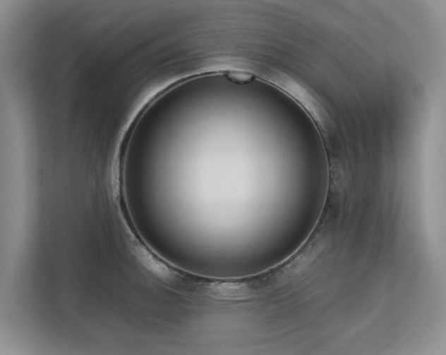 X0000112731140200908201320