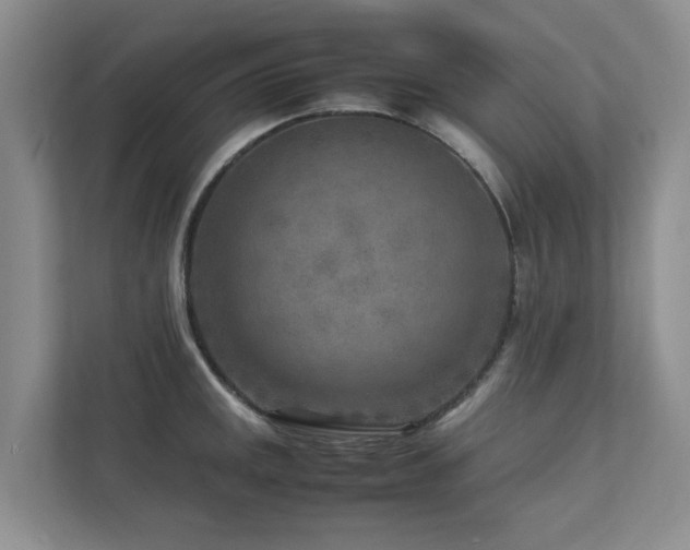 X0000112731141200908201320