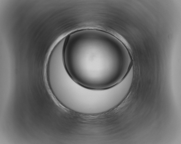 X0000112731144200908201320