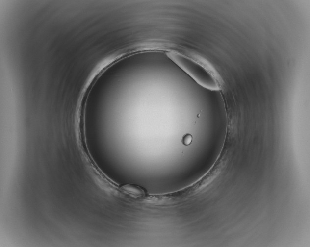 X0000112731146200908201321