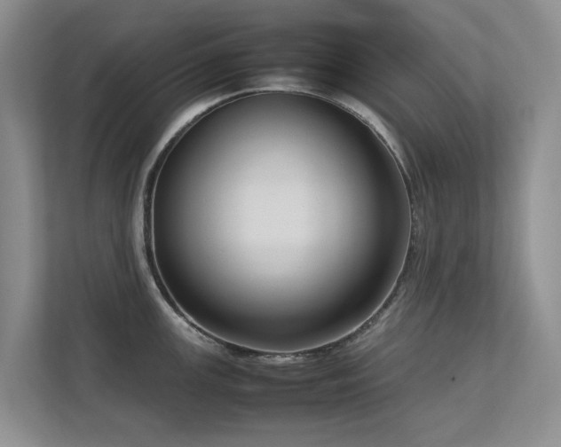 X0000112731147200908201321