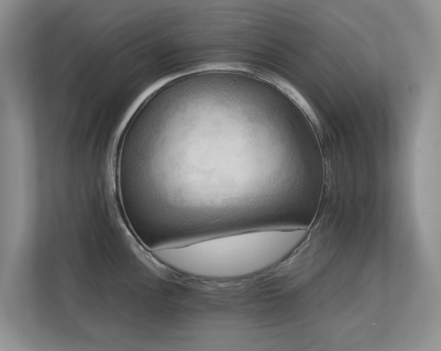 X0000112731148200908201321