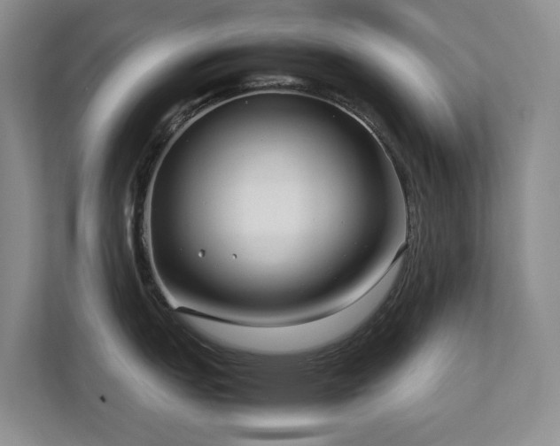 X0000112731151200908201321