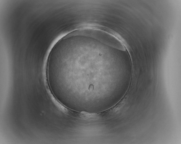 X0000112731152200908201321