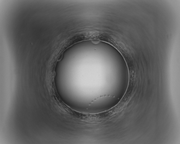 X0000112731153200908201320