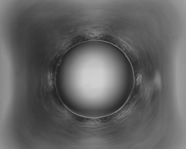 X0000112731156200908201320