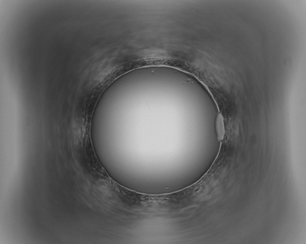 X0000112731157200908201320