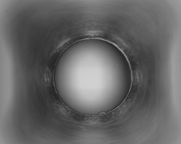 X0000112731158200908201320