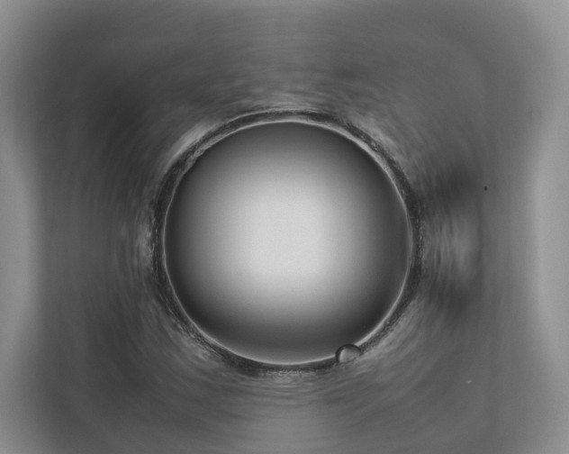 X0000112731163200908201320