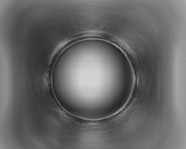 X0000112731164200908201320