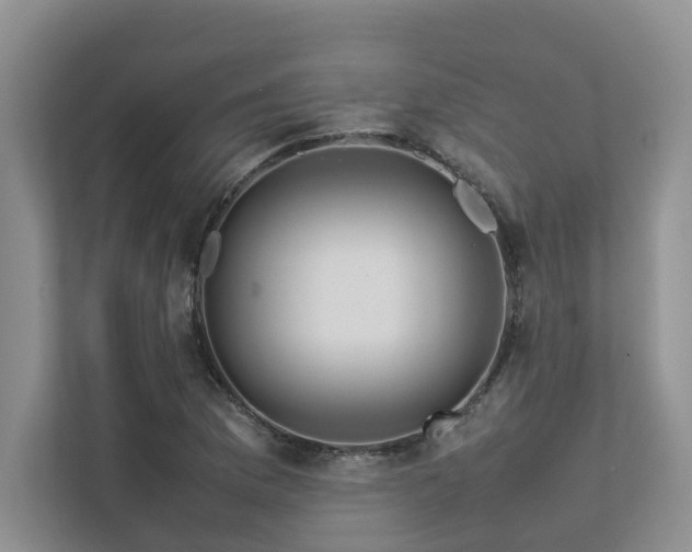 X0000112731169200908201320