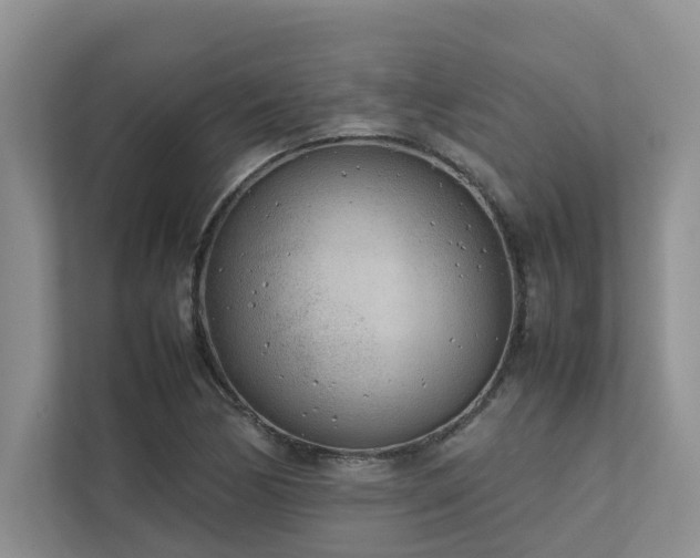 X0000112731170200908201320