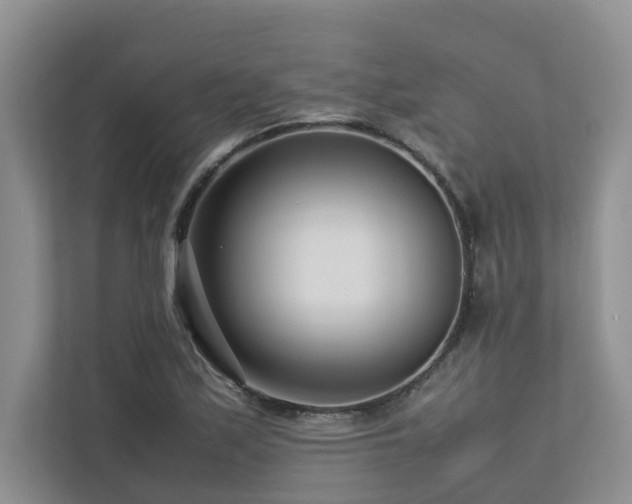 X0000112731171200908201320