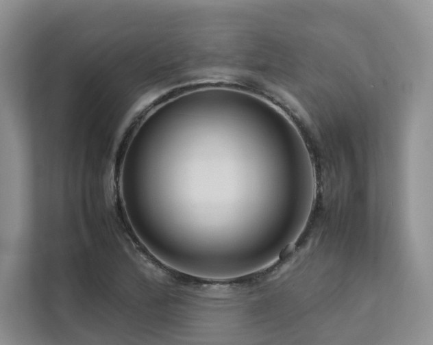 X0000112731172200908201320