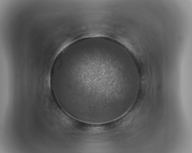 X0000112731173200908201320