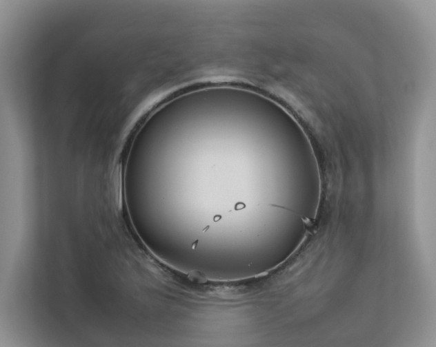 X0000112731175200908201320