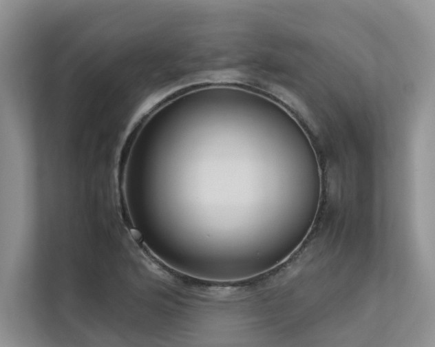 X0000112731176200908201320