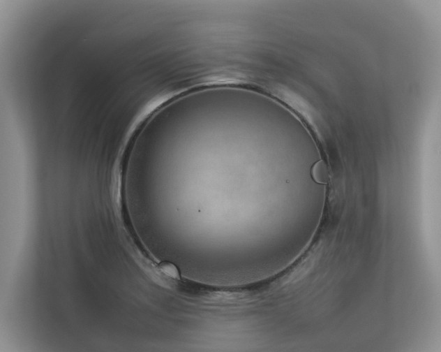 X0000112731179200908201320