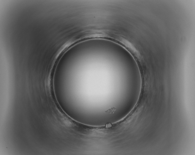 X0000112731181200908201320