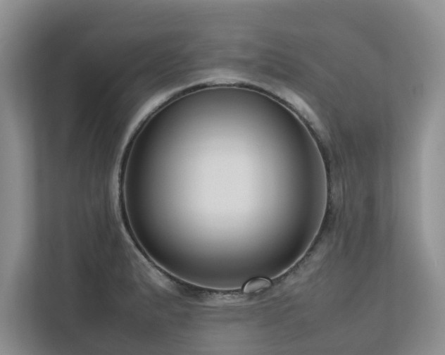 X0000112731183200908201320