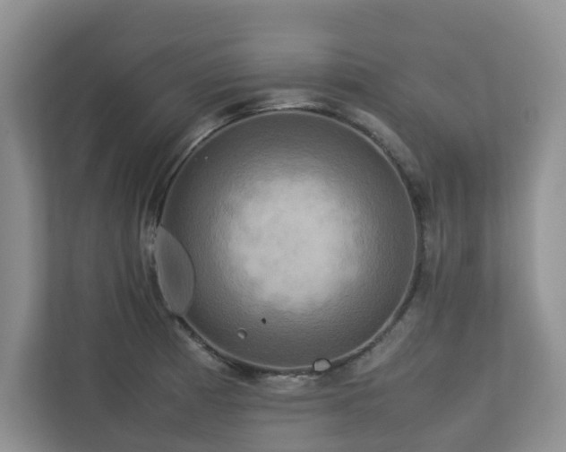 X0000112731185200908201320