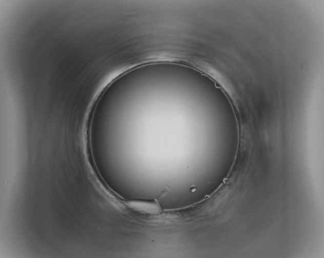 X0000112731187200908201320