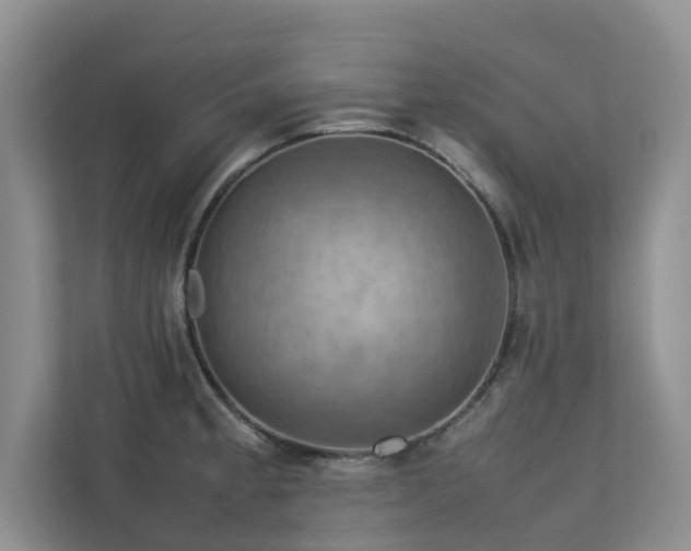 X0000112731189200908201319