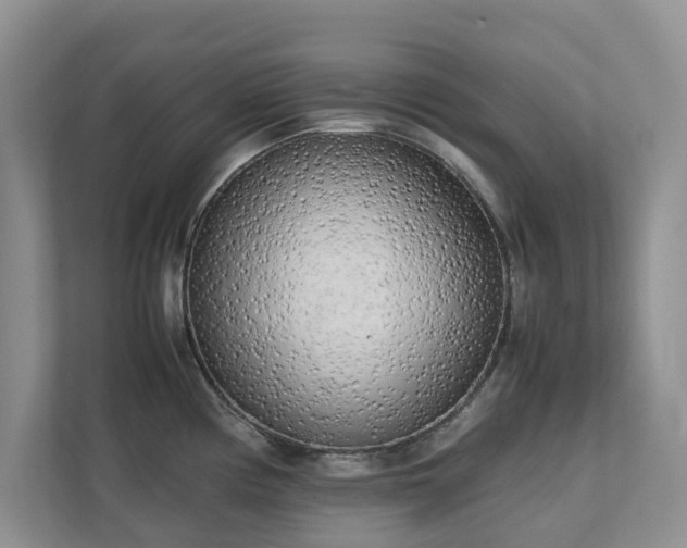 X0000112731194200908201319