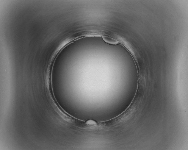 X0000112731195200908201319