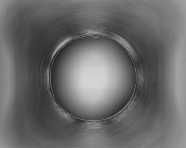 X0000112731198200908201319