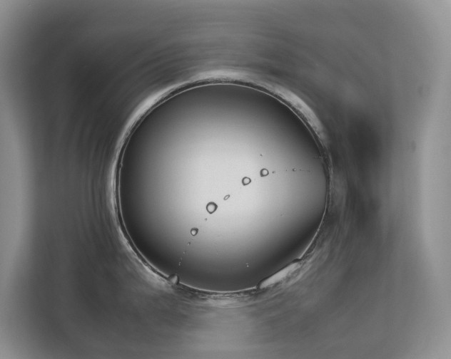 X0000112731199200908201319