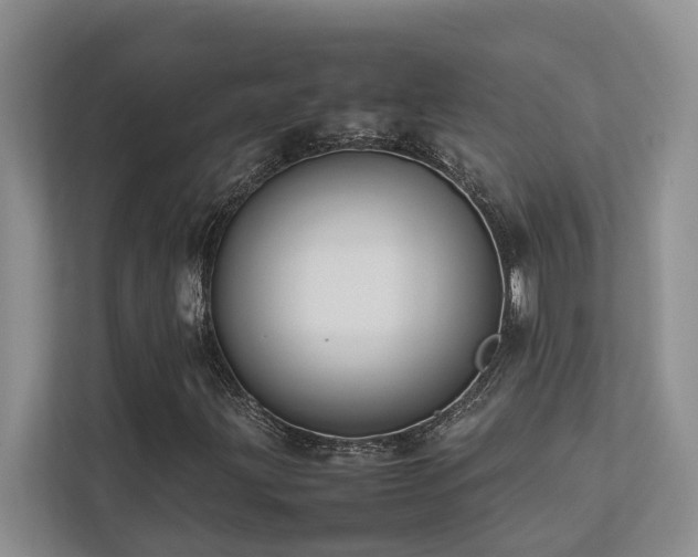 X0000112731203200908201319