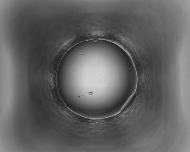 X0000112731205200908201319