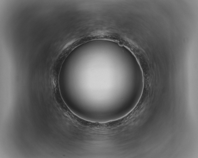 X0000112731206200908201319