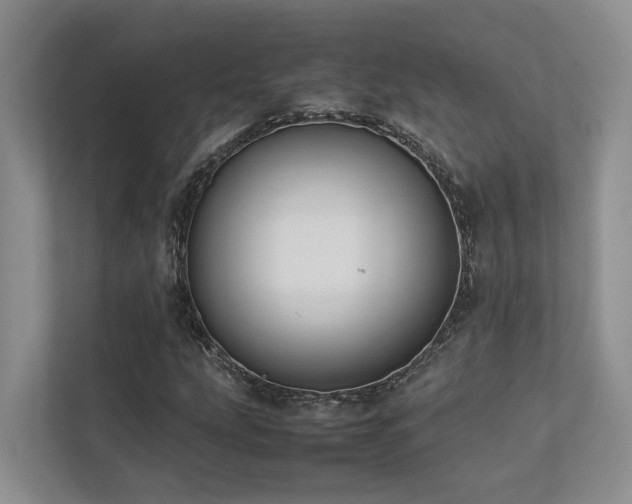 X0000112731207200908201319