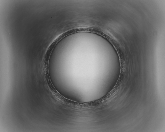 X0000112731208200908201319