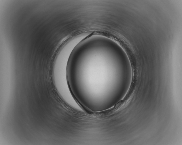 X0000112731210200908201319