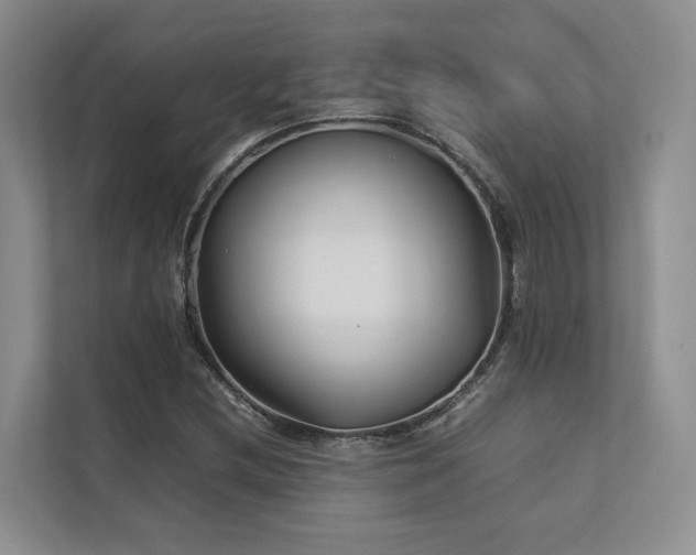 X0000112731212200908201319