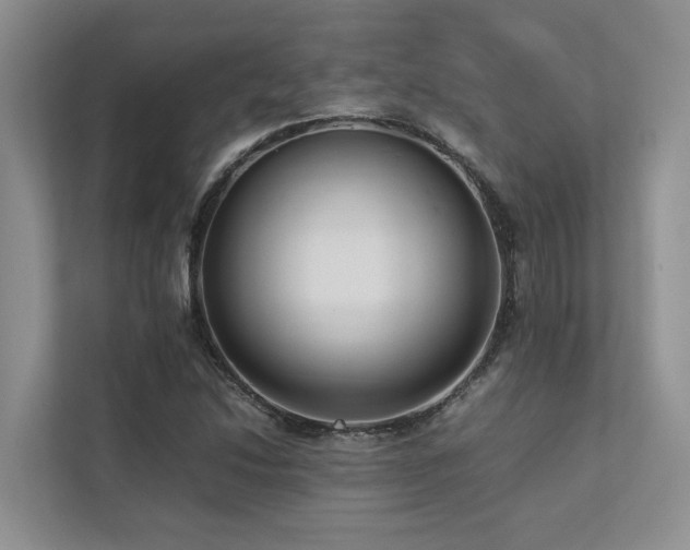 X0000112731214200908201319