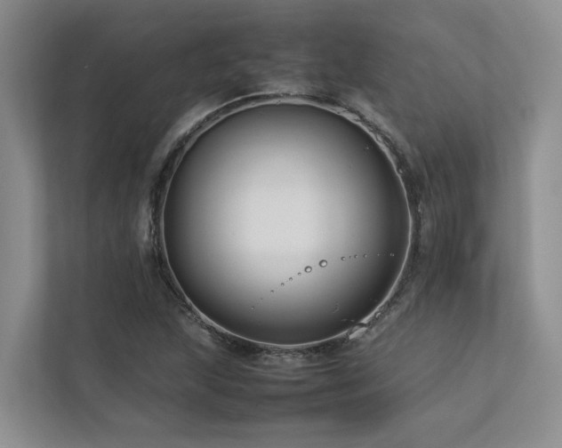 X0000112731215200908201319