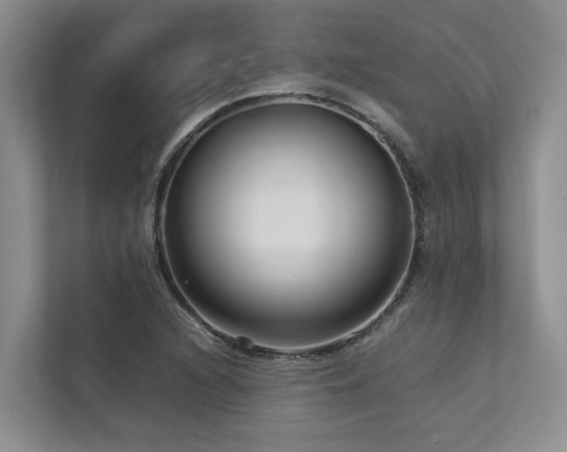 X0000112731216200908201319