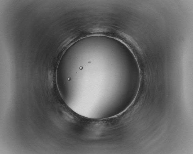 X0000112731217200908201319