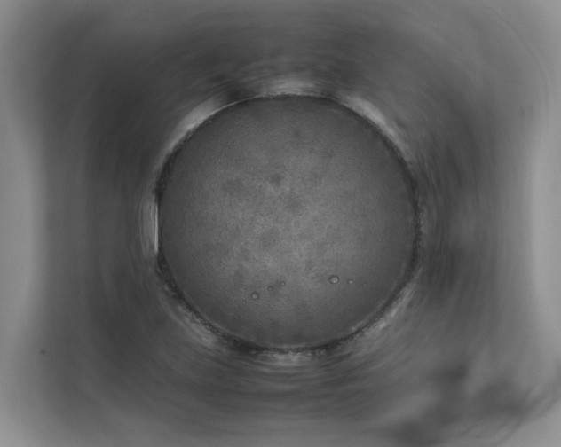 X0000112731219200908201319