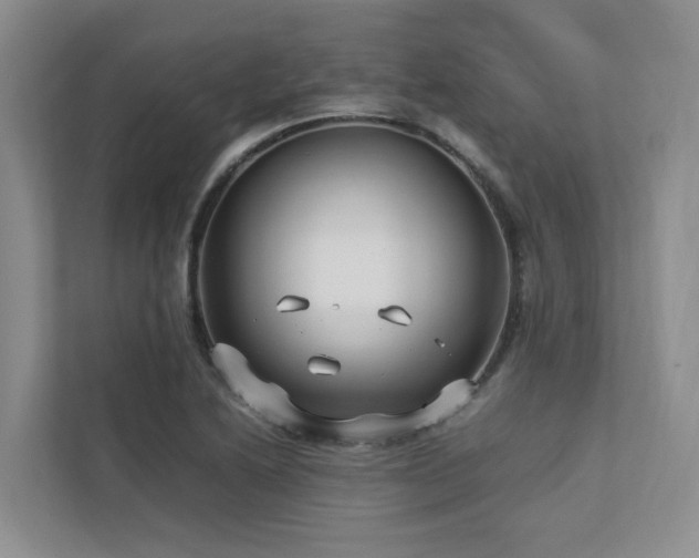 X0000112731222200908201319