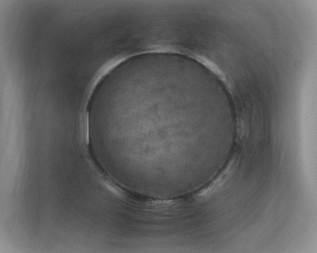 X0000112731223200908201319