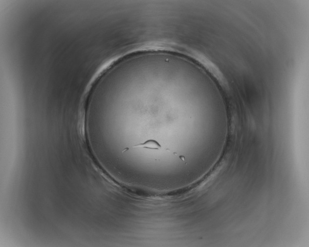 X0000112731224200908201319