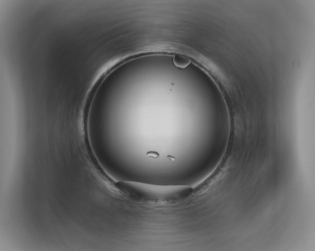 X0000112731230200908201319